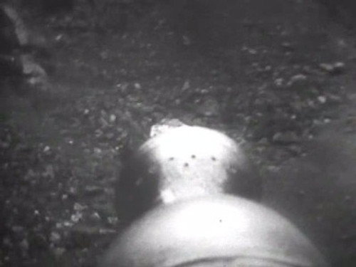 Doctor Who Season 6 Episode 21 - The Krotons (3)