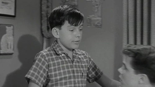 Leave It to Beaver Season 4 Episode 16 - Ward's Millions