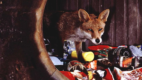 Cutting Edge Season 19 Episode 2 - Meet the Foxes