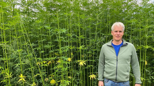 The return of hemp fiber still