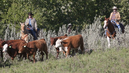 Heartland Season 6 Episode 3 - Keeping Up Appearances