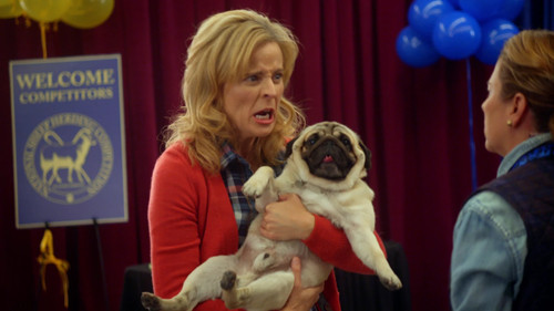 Lady Dynamite Season 1 Episode 9 - No Friend Left Behind