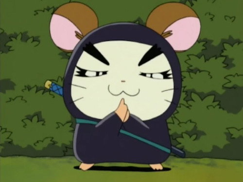 Nin-Ham The Ninja! still