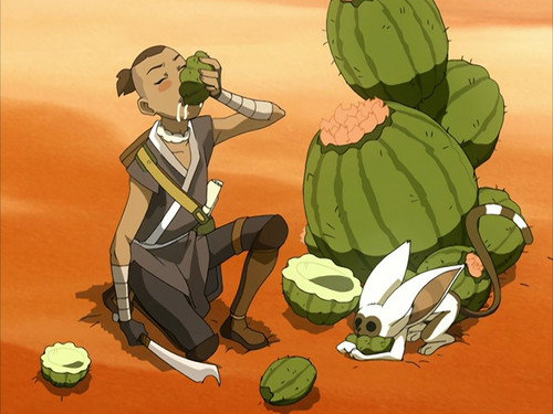 Avatar: The Last Airbender Season 2 Episode 11 - The Desert