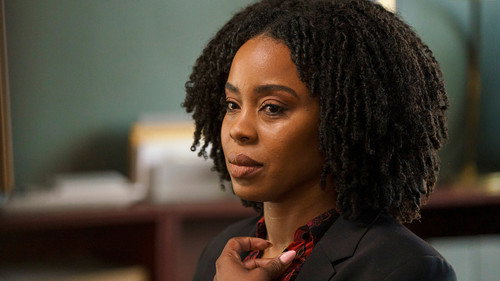 Law & Order: Organized Crime Season 3 Episode 17 - Blood Ties