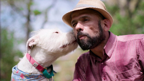 Dogs Season 1 Episode 6 - Second Chances