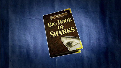 Shark Week Season 21 Episode 1 - Mythbusters: Shark Special 2