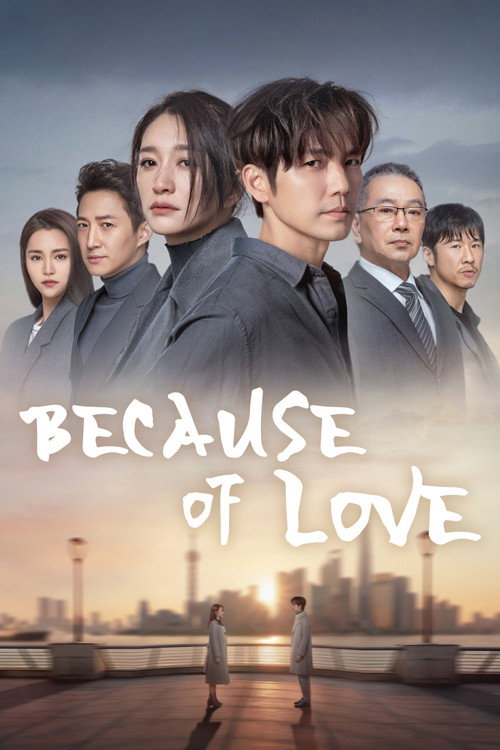 Because of Love poster