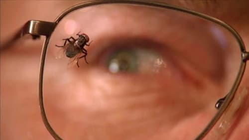 Breaking Bad Season 3 Episode 10 - Fly
