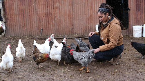 Farm Dreams Season 1 Episode 1 - Homestead Reborn