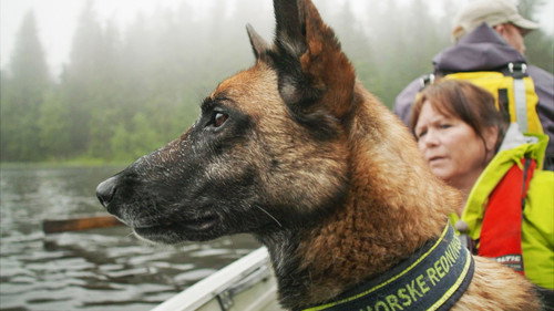 Redningshundene Season 1 Episode 3 - Searching from boat