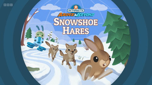 Octonauts: Above & Beyond Season 3 Episode 15 - Snowshoe Hares