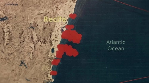 When Sharks Attack Season 5 Episode 4 - Bedlam In Brazil