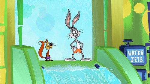 Splashwater Bugs still
