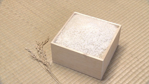 Japanology Plus mini Season 2 Episode 3 - Rice Cultivation