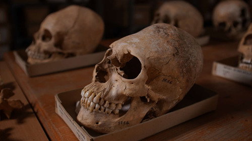 Secrets Season 7 Episode 5 - Riddle of the Roman Skulls