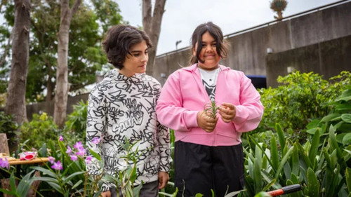 Gardening Australia Junior Season 3 Episode 12 - Log Pot Party