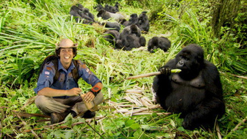 Andy's Wild Adventures Season 1 Episode 6 - Mountain Gorillas
