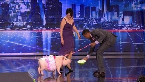 America's Got Talent Season 7 Episode 10 - Final Auditions