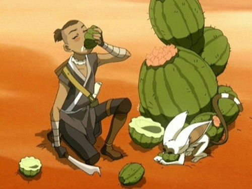 Avatar: The Last Airbender Season 2 Episode 11 - The Desert