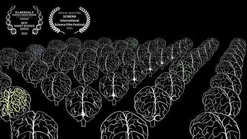 Ammodo Docs Season 1 Episode 4 - The Guts of the Neuroscientist