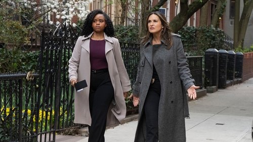 Law & Order: Special Victims Unit Season 26 Episode 22 - Post-Rage