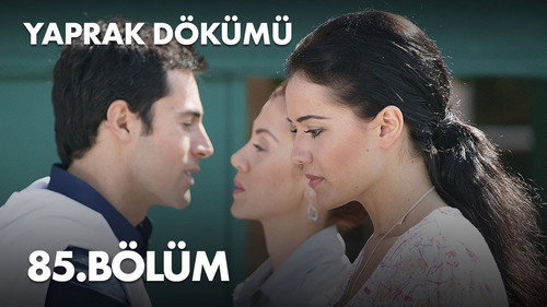 Falling Leaves Season 3 Episode 85 - Episode 85