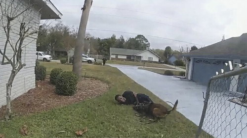 Body Cam Season 7 Episode 7 - Unforeseen