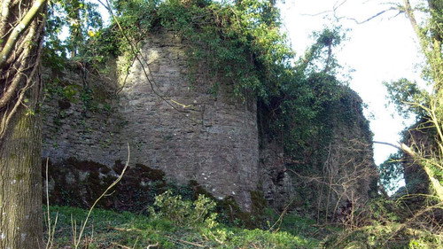 Time Team Season 17 Episode 8 - Something for the Weekend - Tregruk Castle, Llangybi, Monmouthshire