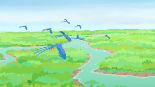 Wild Kratts Season 6 Episode 10 - Amazin' Amazon Adventure