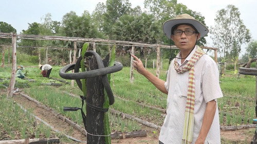 Asia Insight Season 8 Episode 15 - Growing Prosperity with Organic Farming - Cambodia