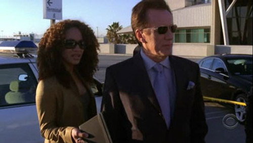 Shark Season 1 Episode 15 - Here Comes The Judge