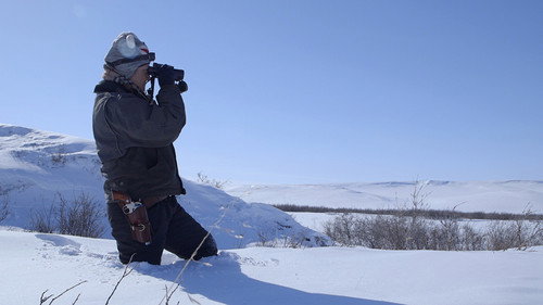 Life Below Zero Season 7 Episode 11 - Sue Aikens