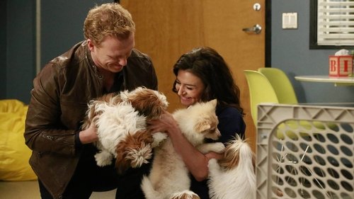 Grey's Anatomy Season 12 Episode 14 - Odd Man Out