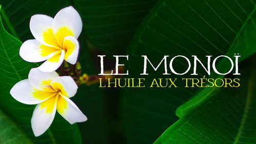 Le Doc du dimanche Season 17 Episode 21 - Episode 21