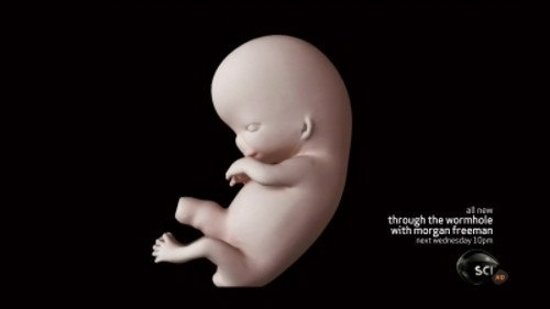 Through the Wormhole Season 4 Episode 2 - When Does Life Begin?