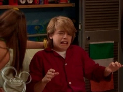 The Suite Life on Deck Season 2 Episode 22 - Marriage 101