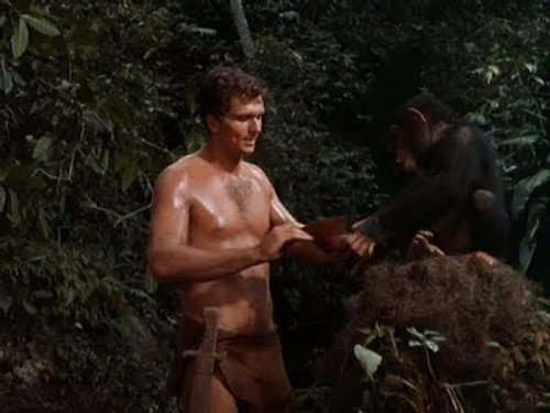 Tarzan Season 1 Episode 30 - Algie B for Brave