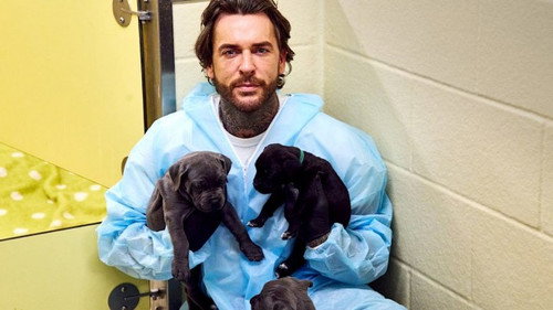 Pete Wicks: For Dogs’ Sake Season 4 Episode 1 - Angel, Pudding and Baby Cherub