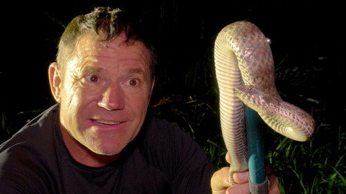 Deadly 60 Season 6 Episode 5 - Dragons and Death Adders