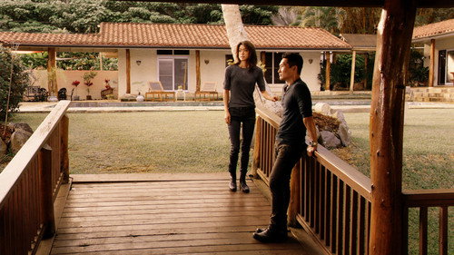 Hawaii Five-0 Season 7 Episode 11 - Kaʻili aku (Snatchback)