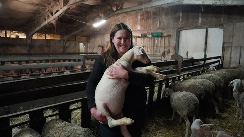 Young French people take over old farms still
