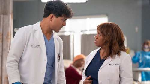 Grey's Anatomy Season 22 Episode 7 - Skyfall