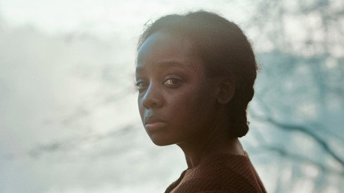 The Underground Railroad Season 1 Episode 1 - Chapter 1: Georgia