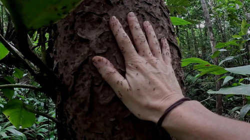 7 vs. Wild Season 5 Episode 3 - Episode 3
