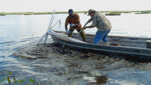 Swamp People Season 9 Episode 9 - Swamp Ninja