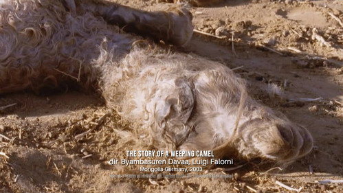 Women Make Film: A New Road Movie Through Cinema Season 1 Episode 5 - Adult/Child, Economy, Editing