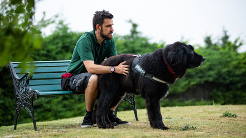 The Dog House Season 2 Episode 1 - Episode 1