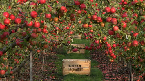 Gourmet Farmer Season 1 Episode 4 - Apples and Cider