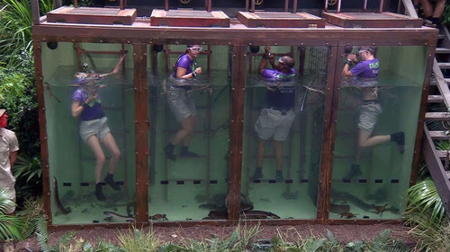 I'm a Celebrity...Get Me Out of Here! Season 19 Episode 12 - The Reckonings: The Sinister Circus / The Bad Banquet / Dead Ringers